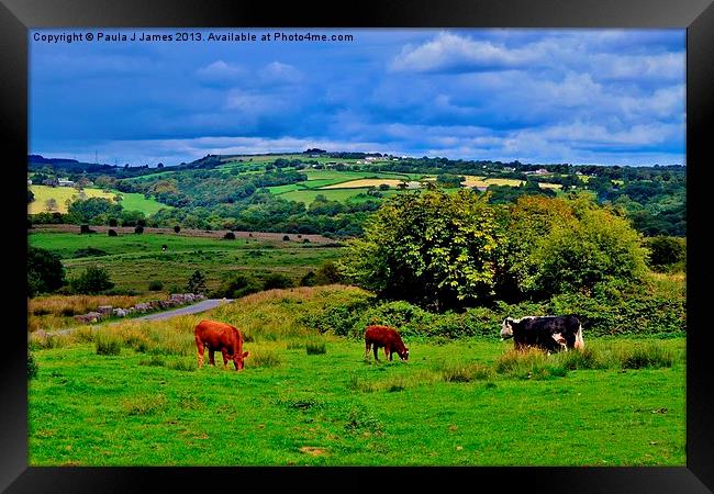 Llantrisant Common Framed Print by Paula J James