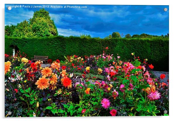 Flower Garden Acrylic by Paula J James