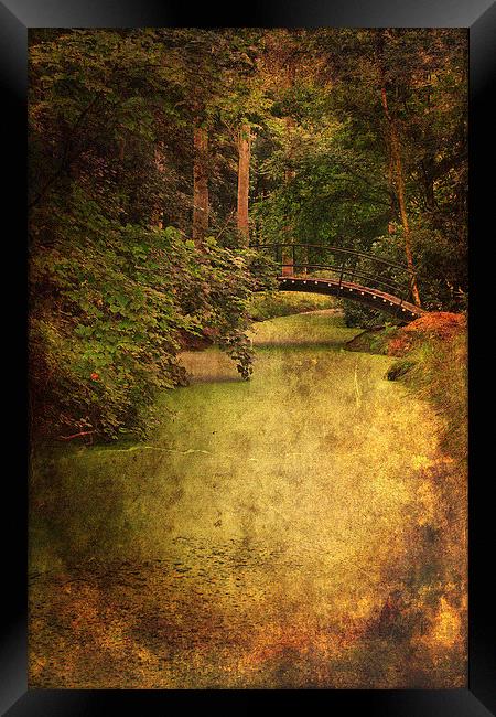 River Bridge Framed Print by Julie Coe