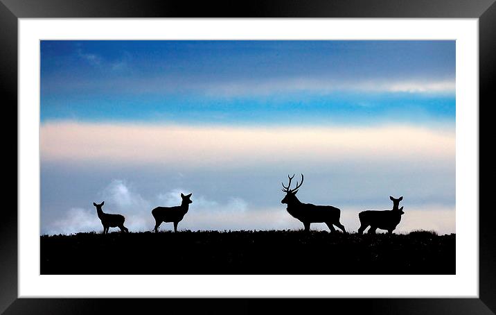 Anticipation Framed Mounted Print by Macrae Images
