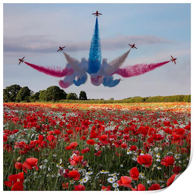 Red Arrows Print by Northeast Images