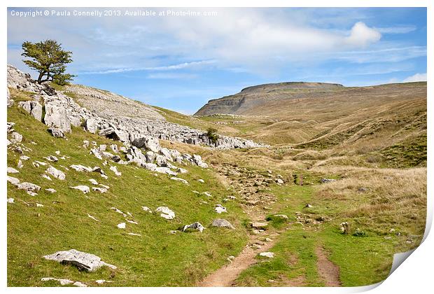 Ingleborough in the Yorkshire Dales Print by Paula Connelly