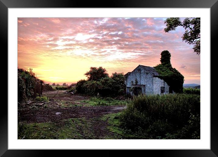 Sunset In Orchard Framed Mounted Print by Paul Austen