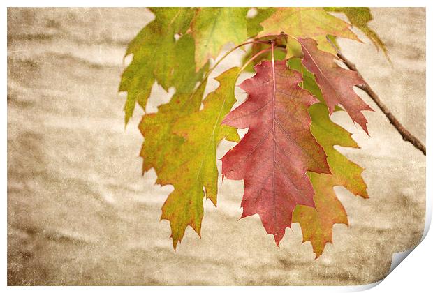 Autumn Already Print by Ray Pritchard