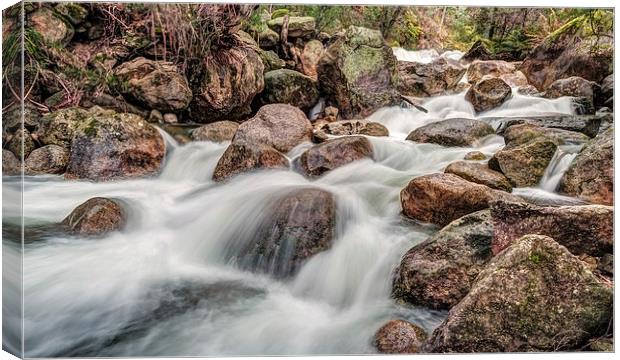 The Flow of Eurobin Canvas Print by Mark Lucey