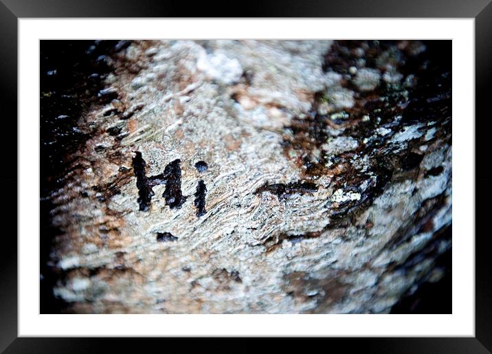 Tree Bark Graffiti - Hi Framed Mounted Print by Helen Northcott