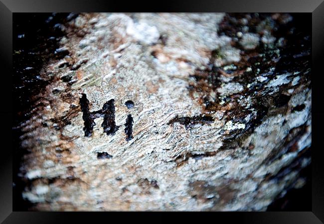 Tree Bark Graffiti - Hi Framed Print by Helen Northcott