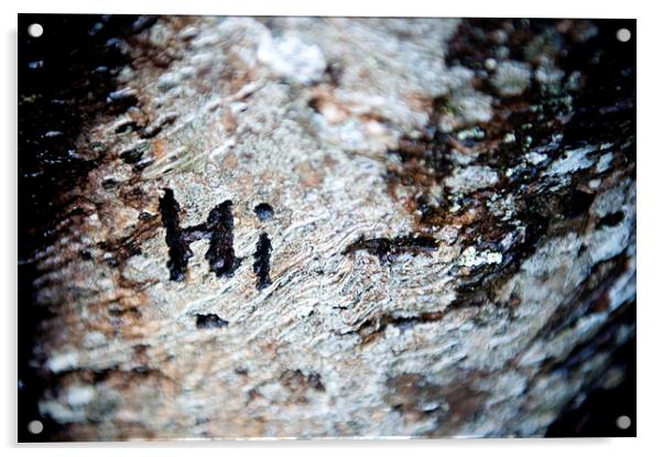 Tree Bark Graffiti - Hi Acrylic by Helen Northcott