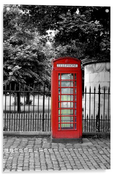 Colour popped telephone box Acrylic by Frank Irwin