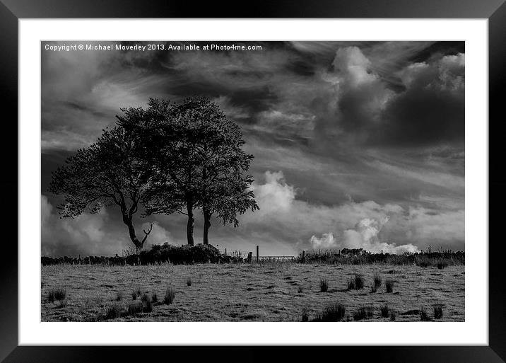 Lonely Trees Framed Mounted Print by Michael Moverley