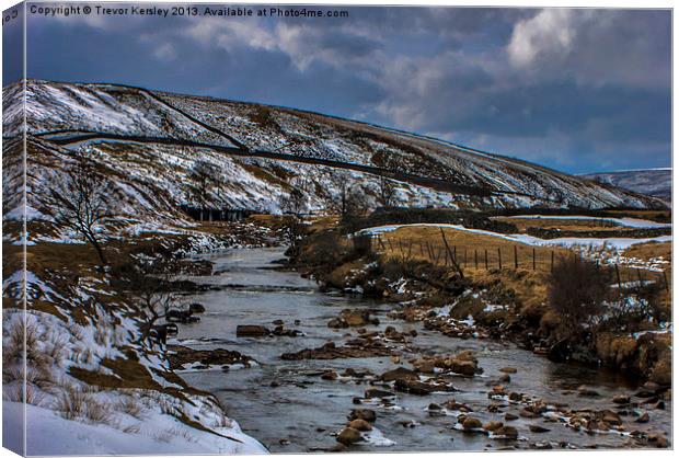 River Swale Canvas Print by Trevor Kersley RIP