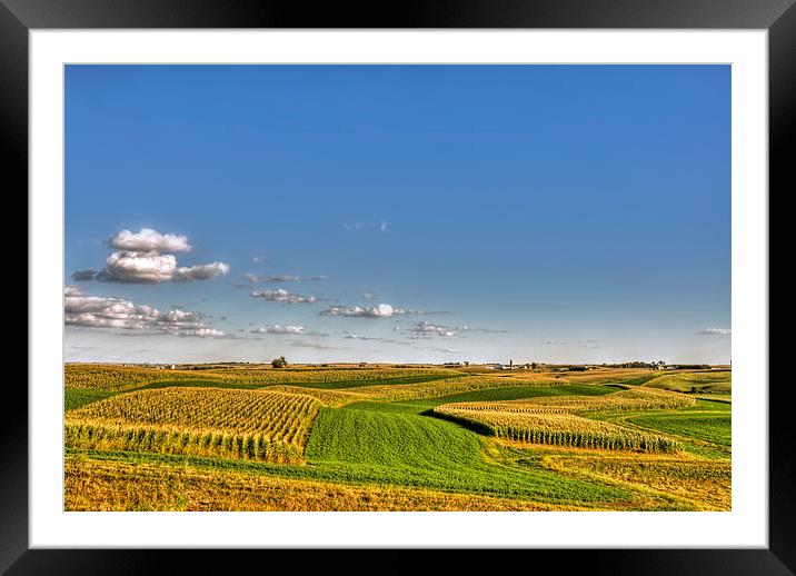 Late Summer Countryside Framed Mounted Print by Mayo Fottral