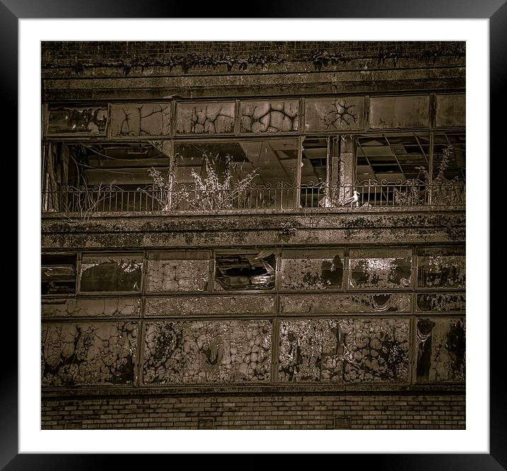 Building decay, Glasgow Framed Mounted Print by Gareth Burge Photography