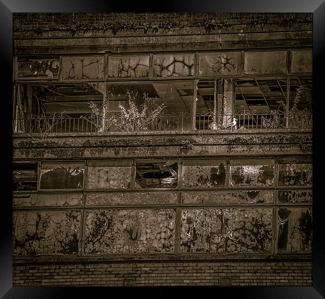 Building decay, Glasgow Framed Print by Gareth Burge Photography