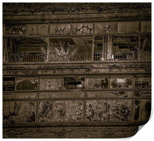Building decay, Glasgow Print by Gareth Burge Photography