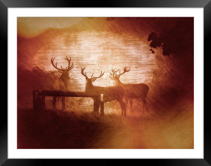 Triple Stag Framed Mounted Print by Tony Fishpool