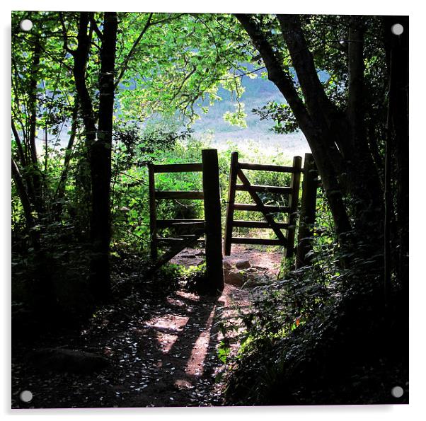 Footpath gateway Dartmoor Acrylic by DEE- Diana Cosford