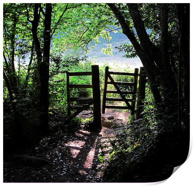 Footpath gateway Dartmoor Print by DEE- Diana Cosford