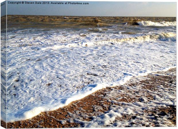 Waves crashing beach Canvas Print by Steven Dale