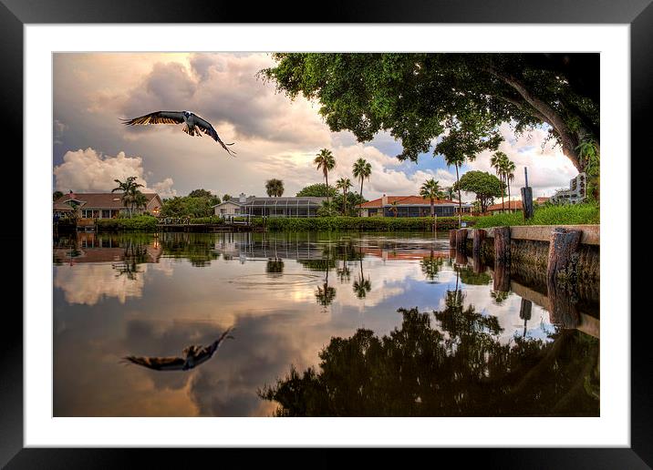 Fishing Time Framed Mounted Print by Robert Pettitt