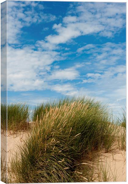 Formby Sand Dunes & Sky Canvas Print by Helen Northcott