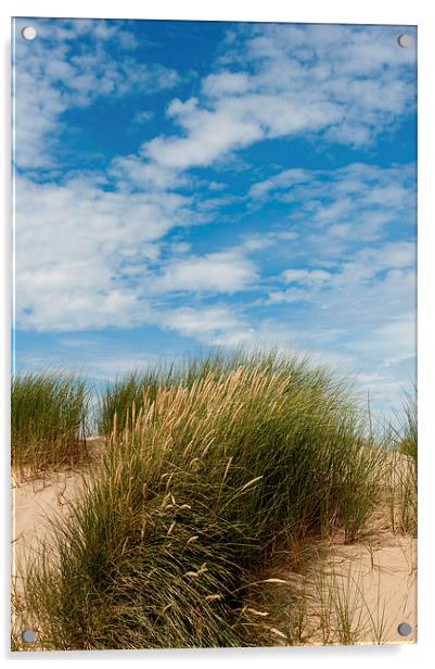 Formby Sand Dunes & Sky Acrylic by Helen Northcott