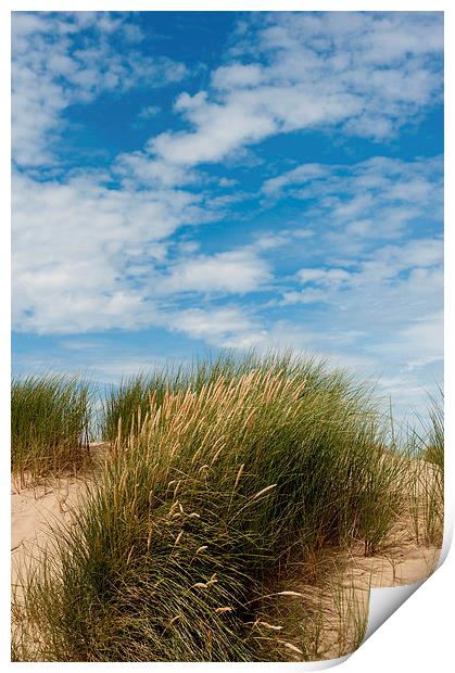 Formby Sand Dunes & Sky Print by Helen Northcott
