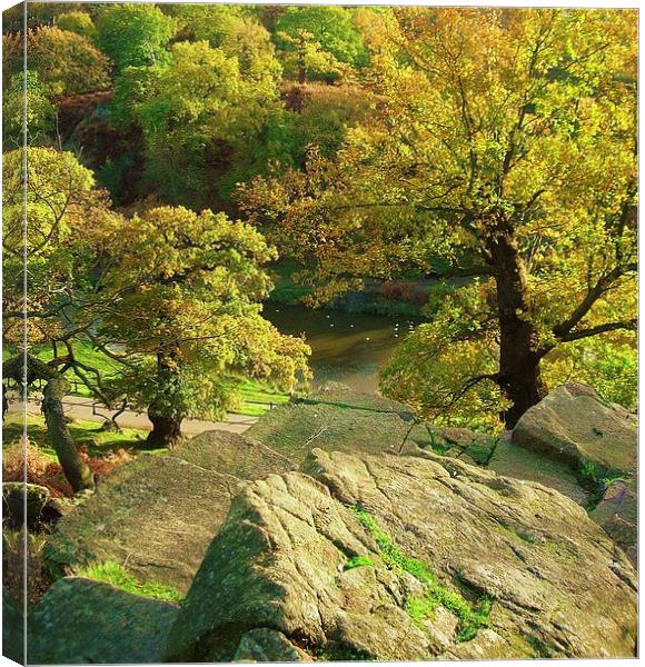 Autumn Canvas Print by james richmond
