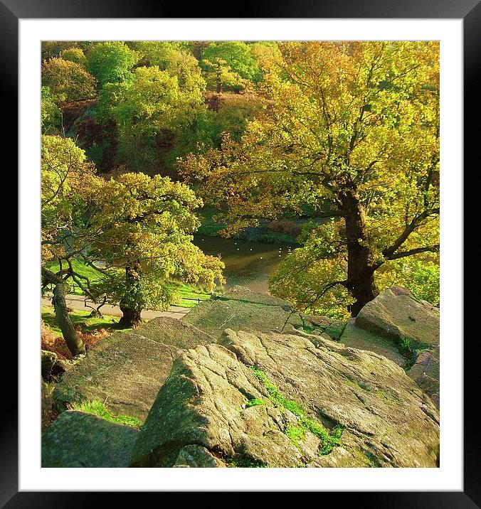 Autumn Framed Mounted Print by james richmond
