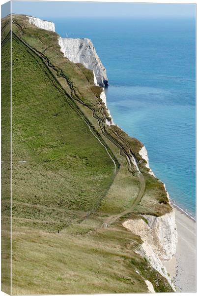 White Nothe Dorset Durdle Door Canvas Print by DEE- Diana Cosford