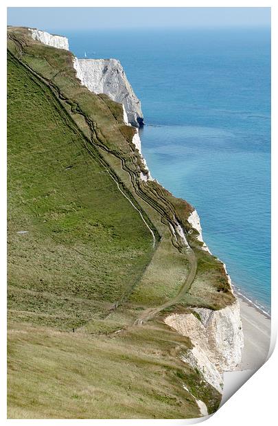 White Nothe Dorset Durdle Door Print by DEE- Diana Cosford