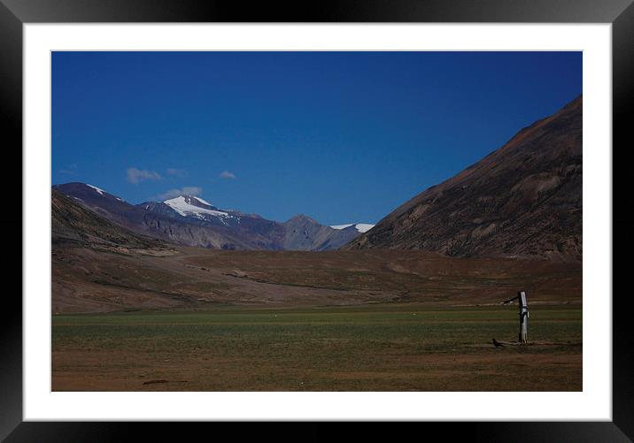 Thirsty Meadow Framed Mounted Print by Sudeep Athavale