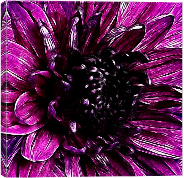 Purple Carintian Canvas Print by Valerie Paterson
