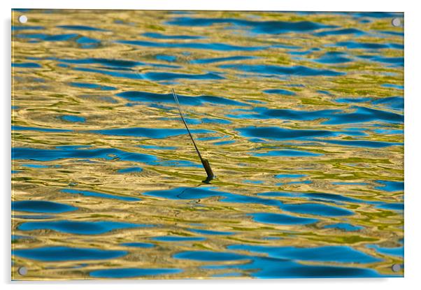 Single reed in a lake Acrylic by steve akerman