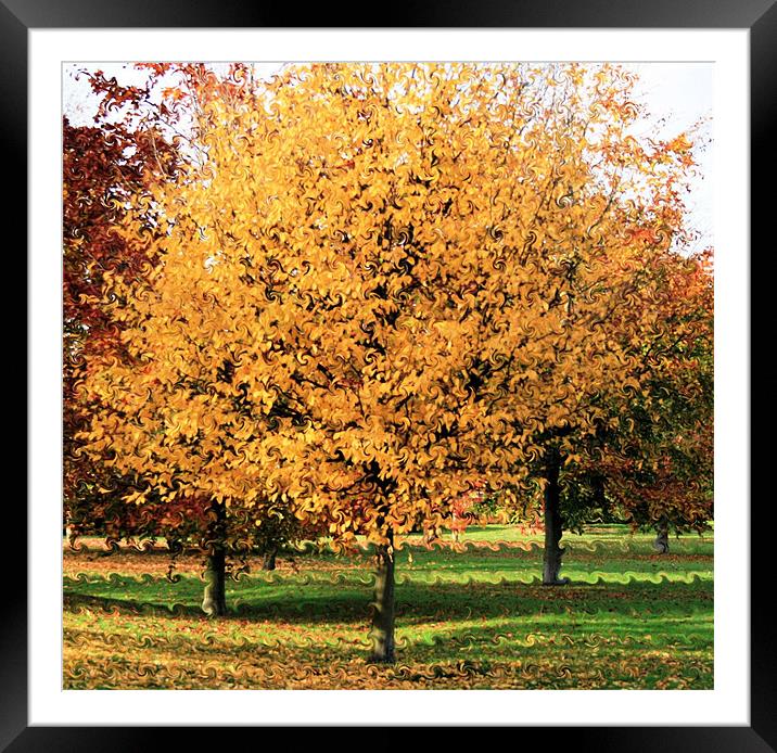 Autumn Framed Mounted Print by Ruth Hallam