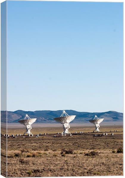 Very large Array Canvas Print by Steven Ralser
