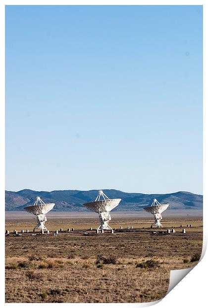 Very large Array Print by Steven Ralser