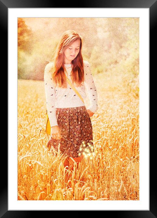 golden field Framed Mounted Print by Dawn Cox