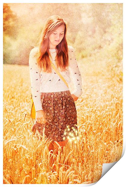 golden field Print by Dawn Cox