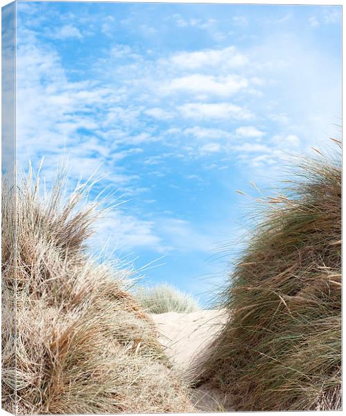 Path Through the Dunes Canvas Print by Helen Northcott