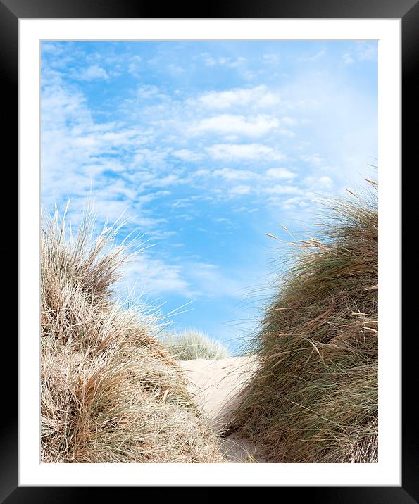 Path Through the Dunes Framed Mounted Print by Helen Northcott