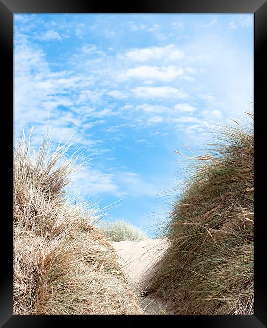 Path Through the Dunes Framed Print by Helen Northcott
