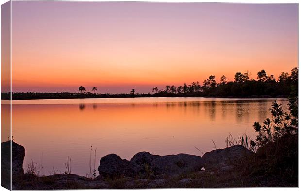 Pine Glades Lake At Sunset Canvas Print by Anne Rodkin