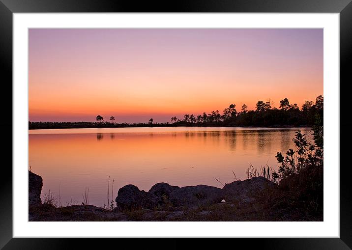 Pine Glades Lake At Sunset Framed Mounted Print by Anne Rodkin