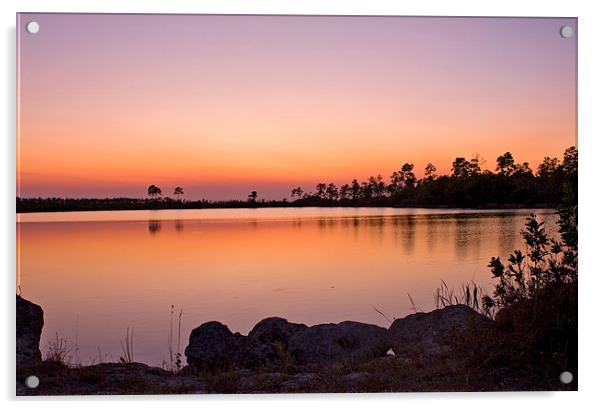 Pine Glades Lake At Sunset Acrylic by Anne Rodkin