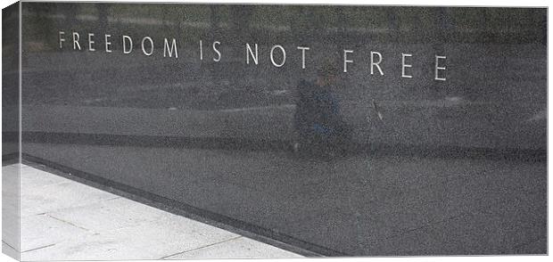 Freedom is not Free Canvas Print by Steven Ralser