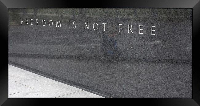 Freedom is not Free Framed Print by Steven Ralser