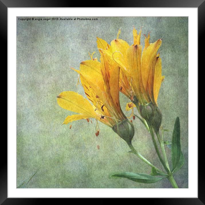 Summers End Framed Mounted Print by angie vogel