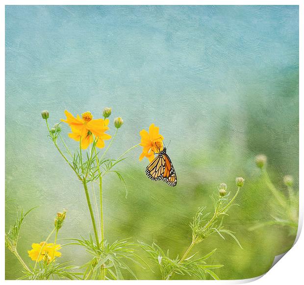 In The Garden - Monarch Butterfly Print by Kim Hojnacki