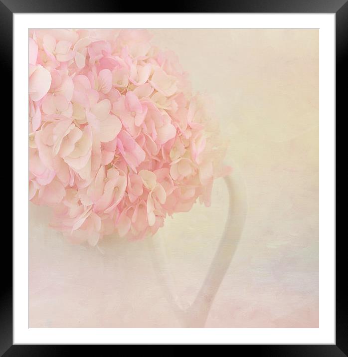 Pink Hydrangea Flowers Framed Mounted Print by Kim Hojnacki